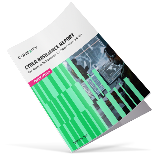 Cyber Resilience Divide in Public Sector Thumbnail