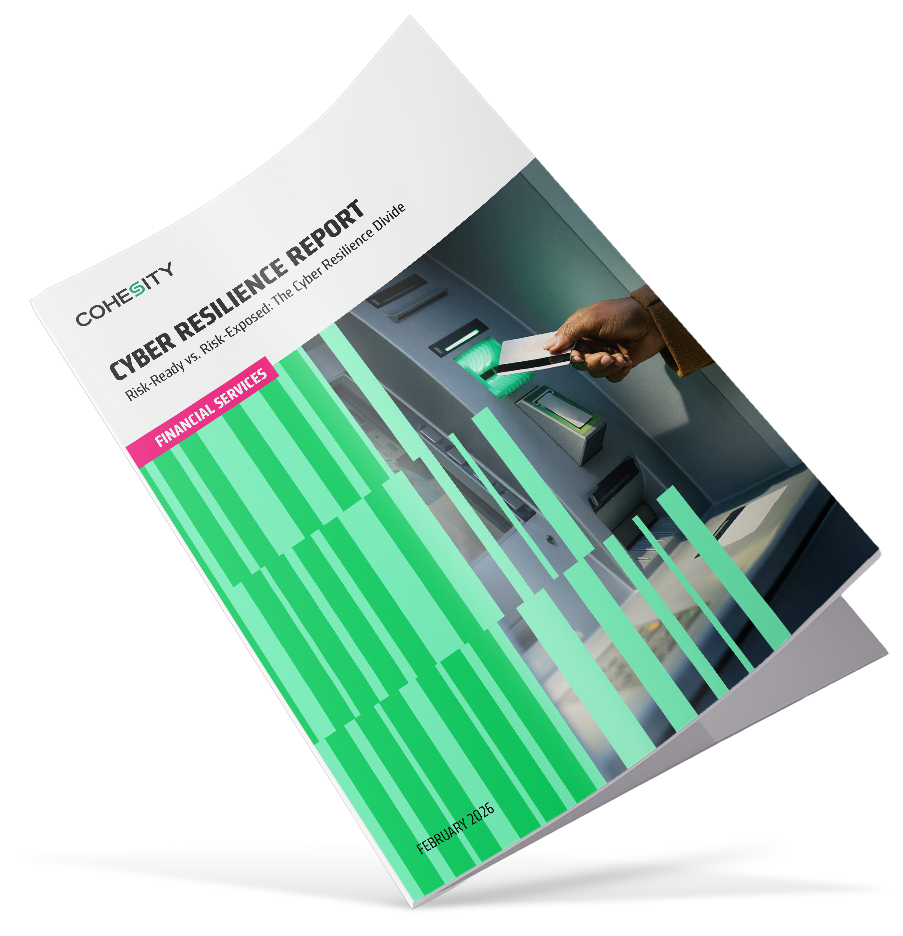 Cyber Resilience Divide in Financial Services Thumbnail