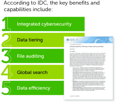 Idg Report