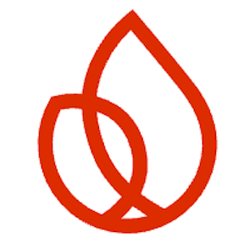 Firestore icon