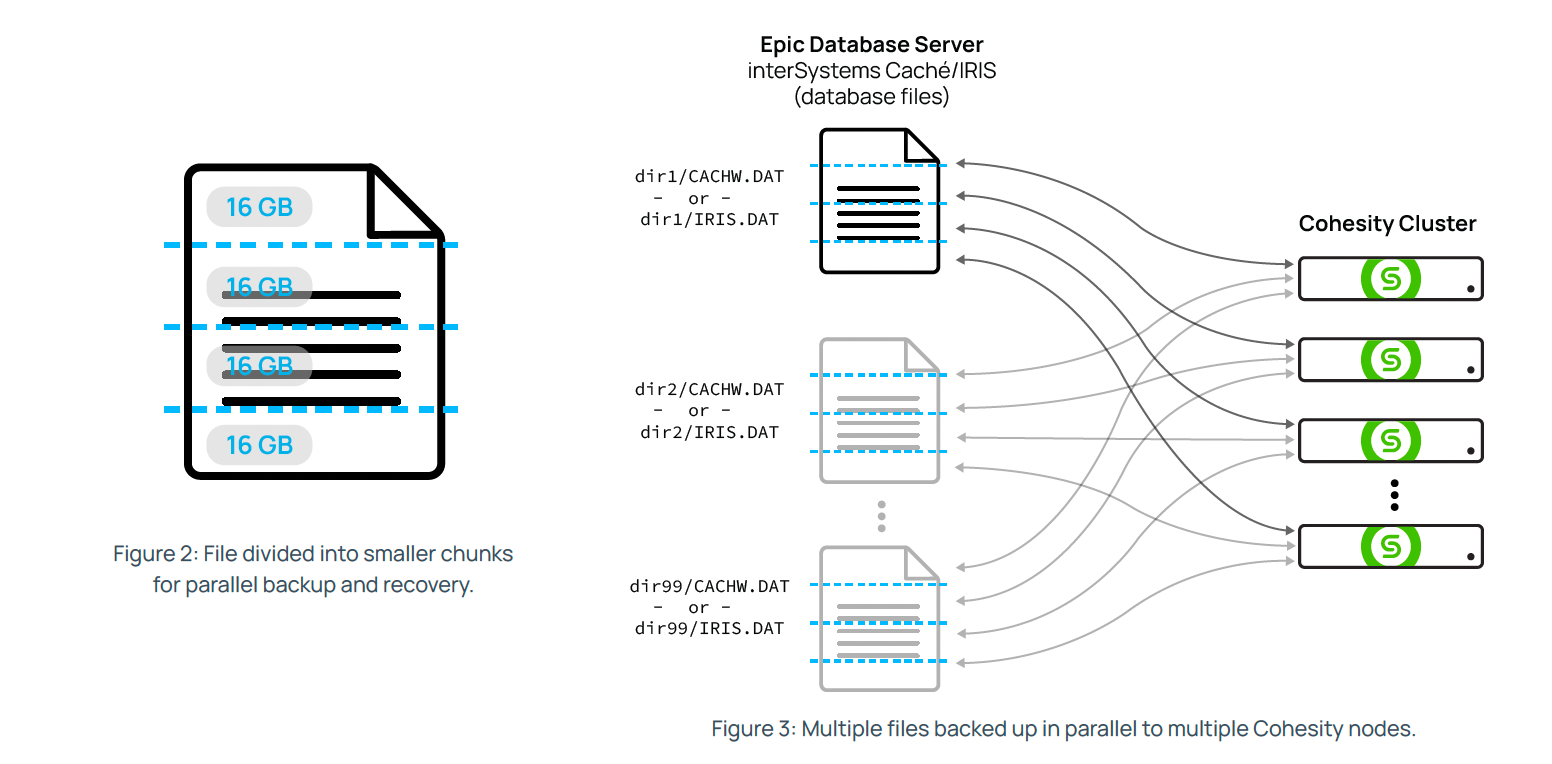 Multiple files backed up in parallel to multiple Cohesity nodes Image
