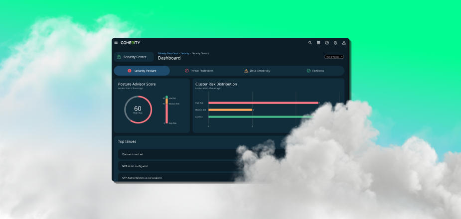 Cohesity Data Cloud