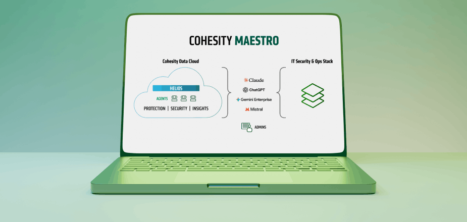 Cohesity Maestro