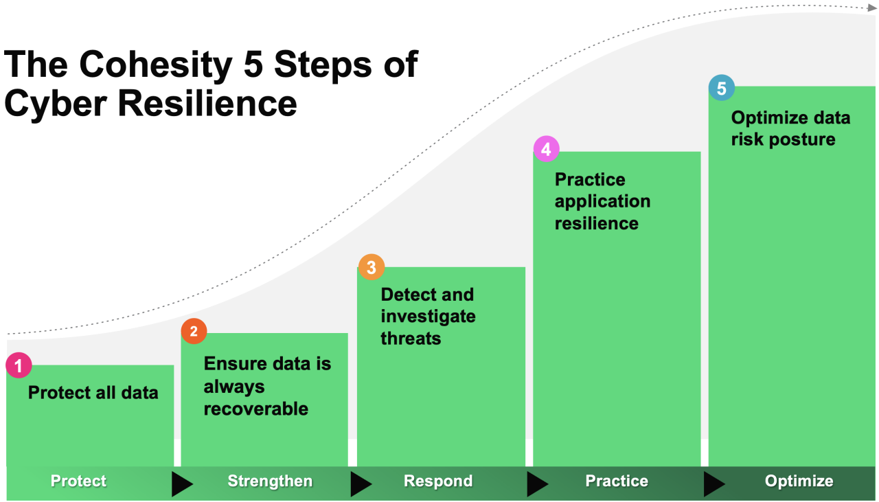 5 Steps for Cyber Resilience