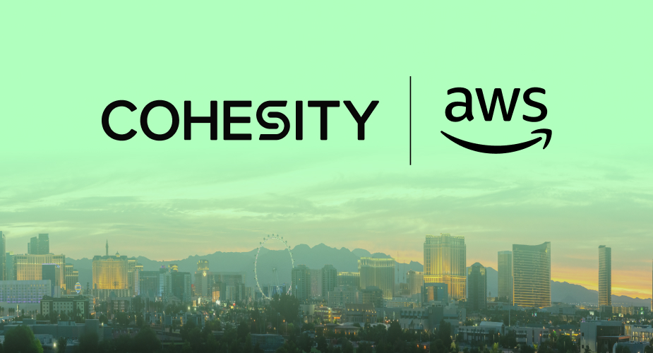 Cohesity AWS