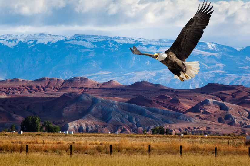 Imagem de destaque da Citizen Potawatomi Nation