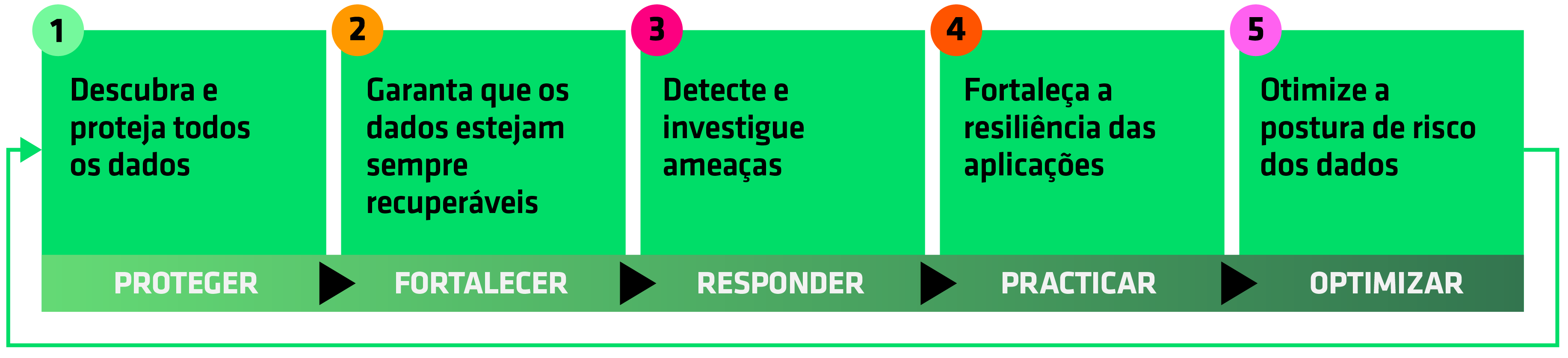 5 etapas
