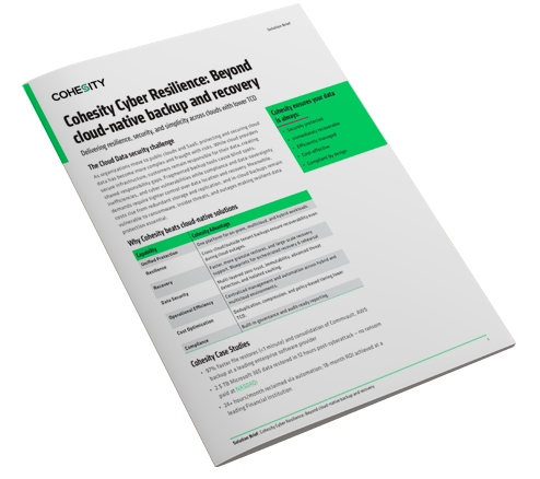 Solution brief thumbanil