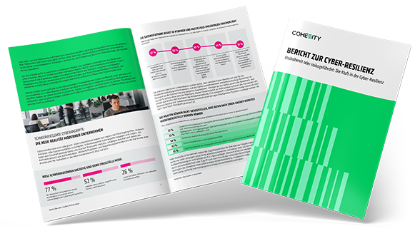 Cyber Resilience Report Image