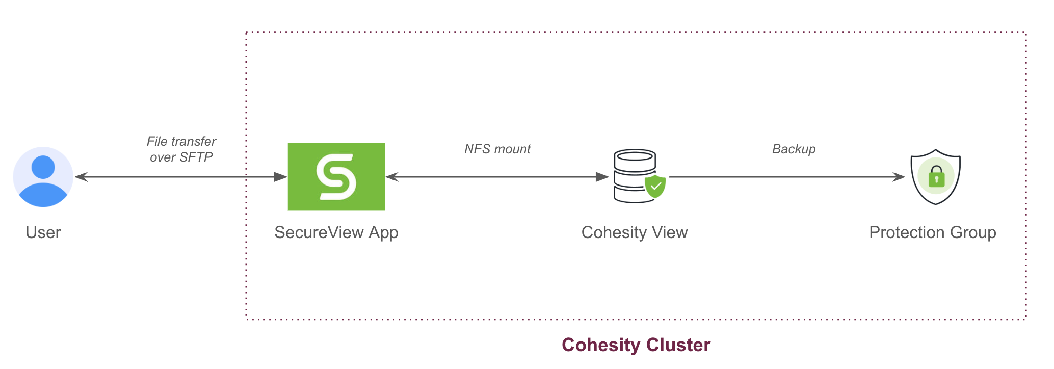Cohesity Cluster Image