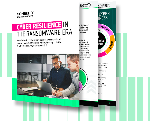 Cyber resilience in the ransomware era Image