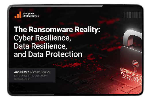 Ransomware Reality Hero Right Image.png