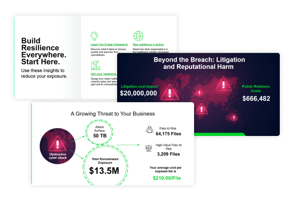 Ransomware Risk Impact Report Image