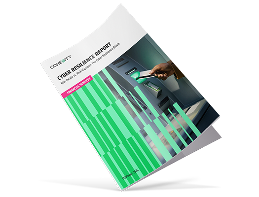 Cyber Resilience Divide in Financial Services Hero Image
