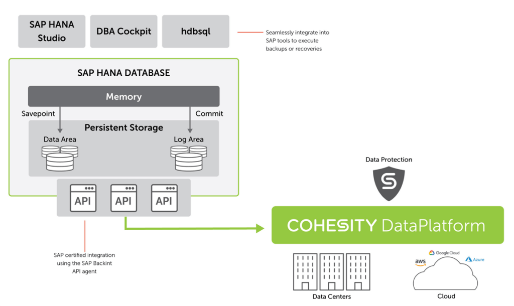 Persistent Storage in SAP HANA