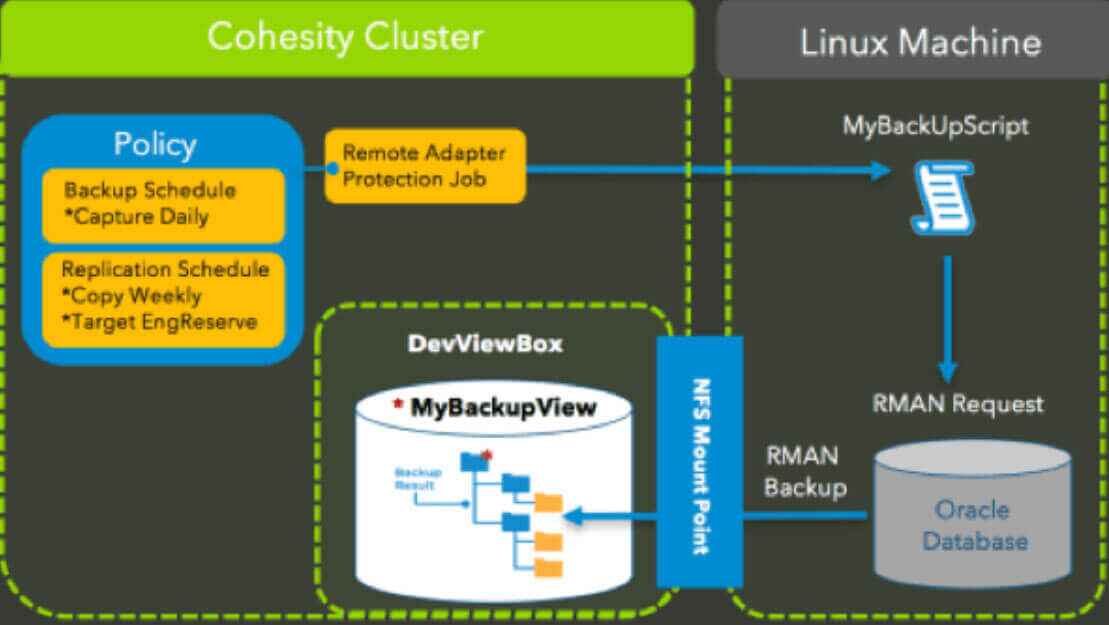 Deduplication for Oracle RMAN