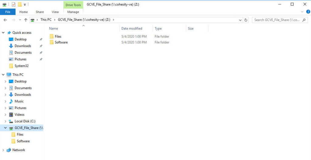 Figure 9 - Mounted Cohesity View on Windows VM