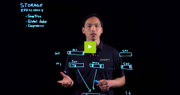 Cohesity’s Storage Efficiency Stack: Includes Inline & Post-process Global Deduplication and Compression Video Capture