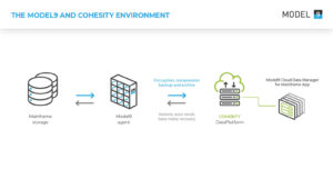 model9 cohesity environment