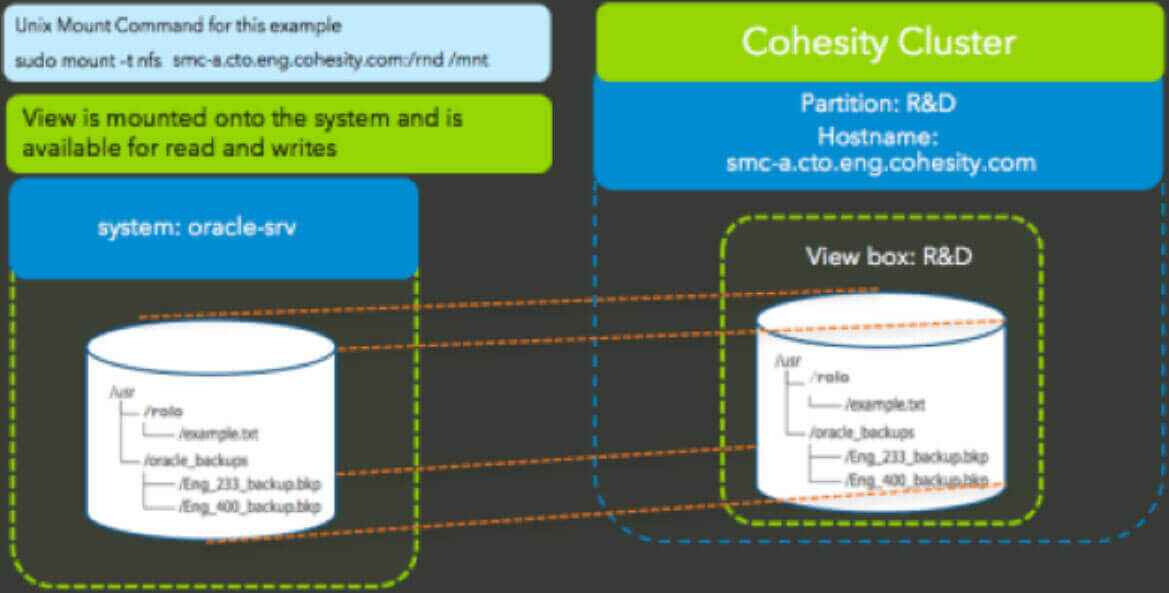 Oracle Data Protection