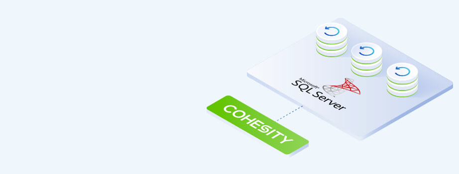 Simple And Granular Data Protection For Microsoft Sql Server Thumbnail
