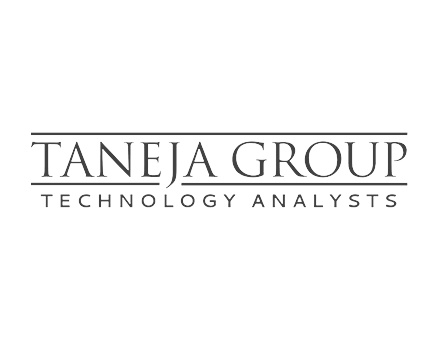 Taneja Group Logo