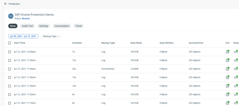 Cohesity Protection Job table | SAP Oracle Protection Demo Screenshot