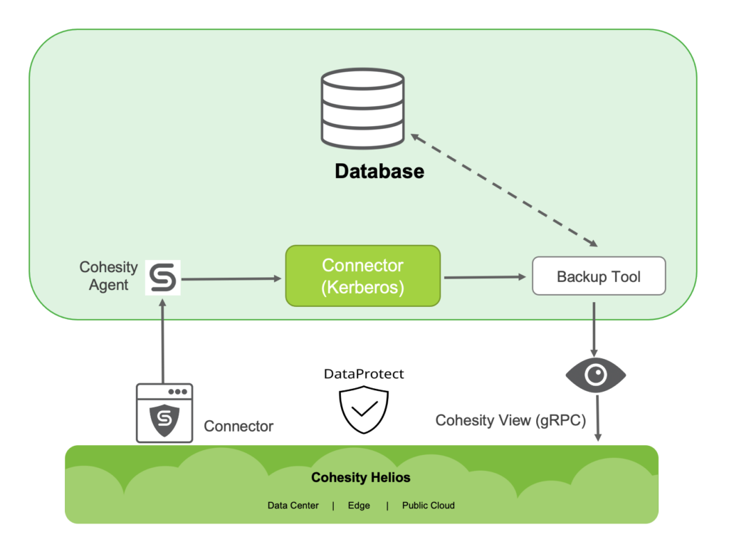 Database to Cohesity Connector Agent Workflow Illustration | Data Protect