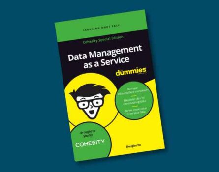 DMaaS for Multicloud IT Environments