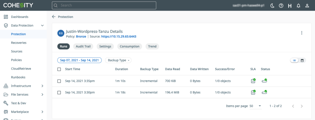 Figure 4 Tanzu Kubernetes Protection Group Run Details