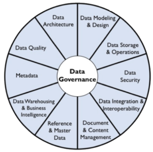 DAMA International | Data Governance Matrix Image