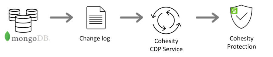 CDP Schematic Flow