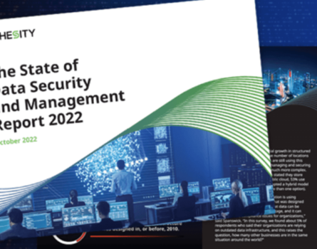 State of Data Security and Management Report 2022