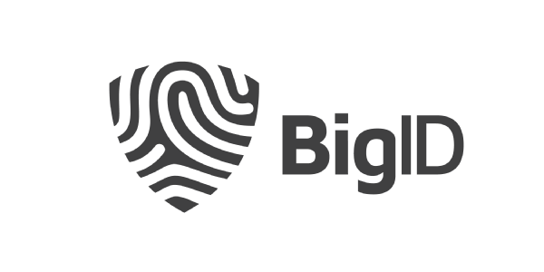 BigID logo