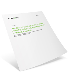 infosec LP Whitepaper DE