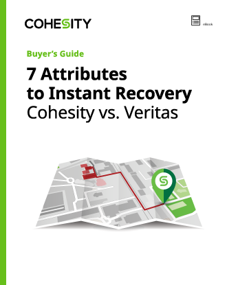 Buyer's Guide: 7 Attributes to instant recovery thumbnail