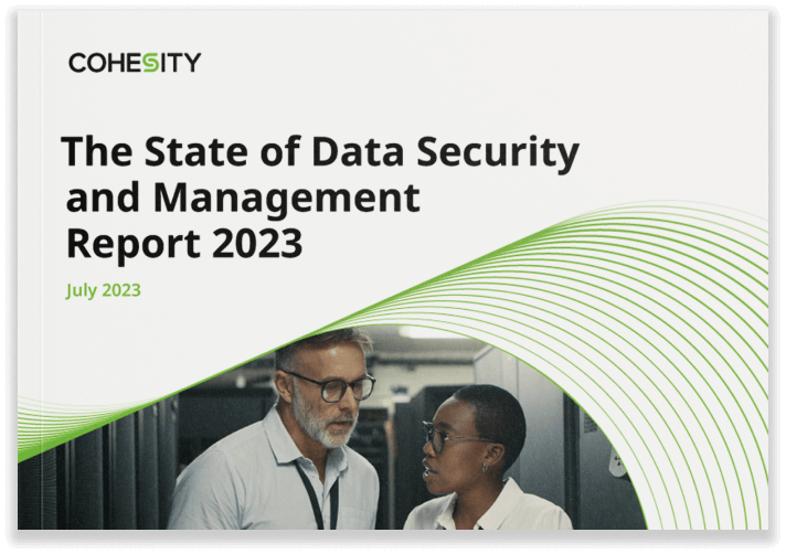 State of Data Security and Management Report Thumbnail