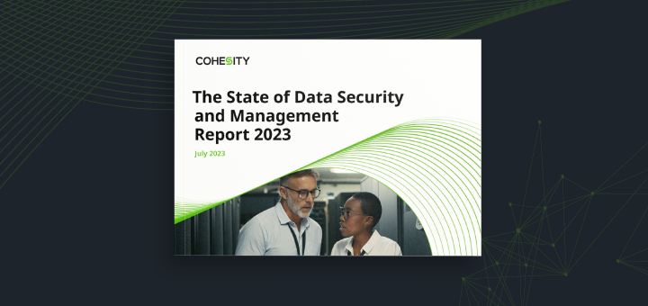 Data Security Report 2023