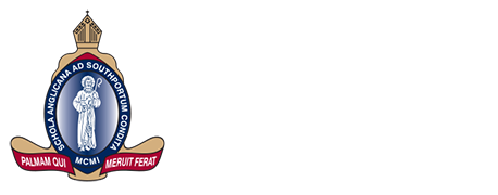 TSS White Logo