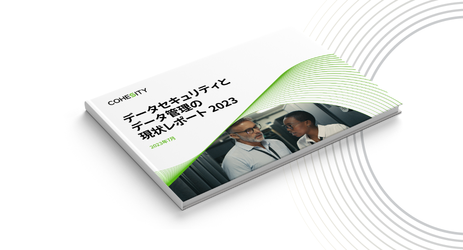 State of data security and management report