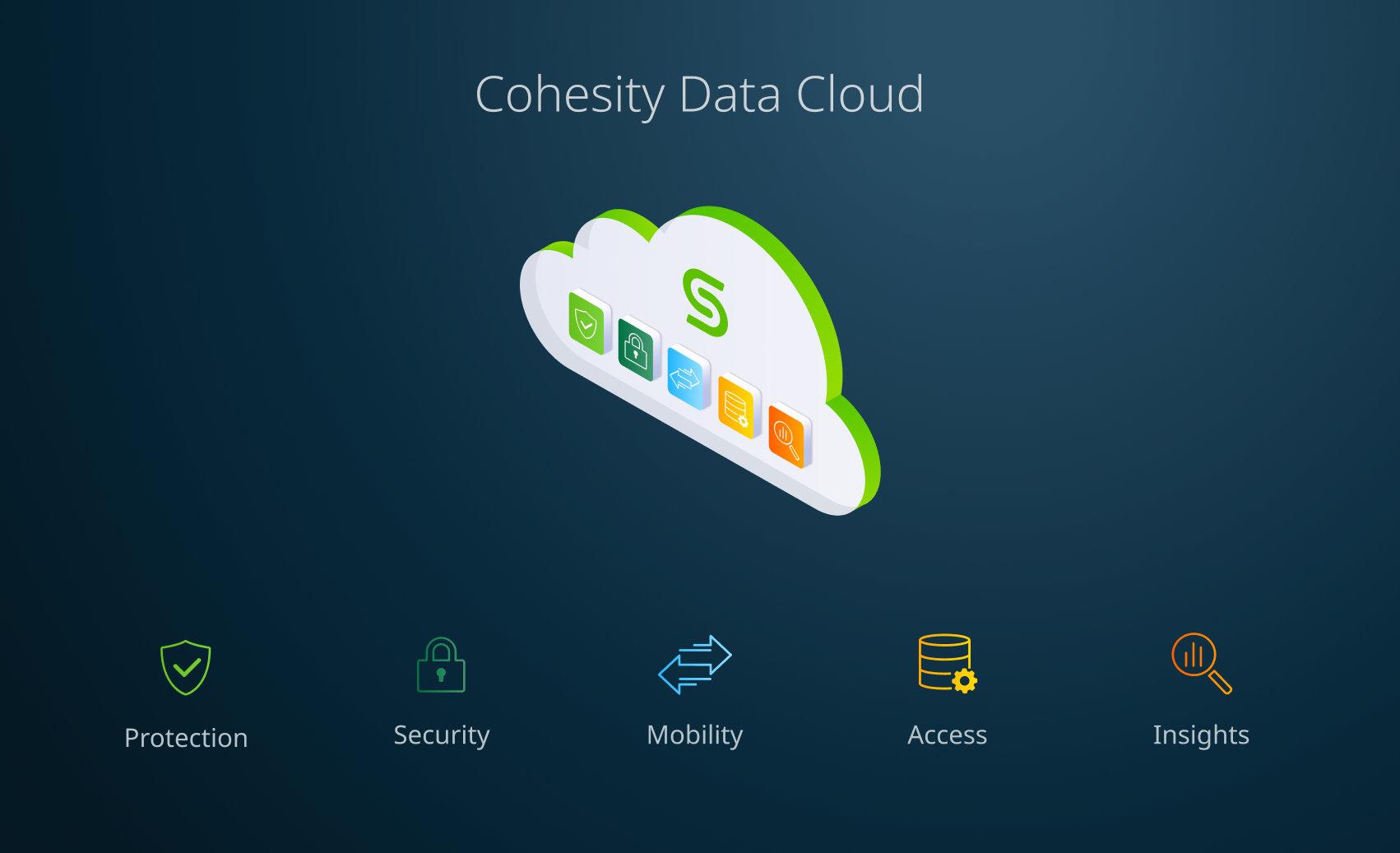 Cohesity Data Cloud Image