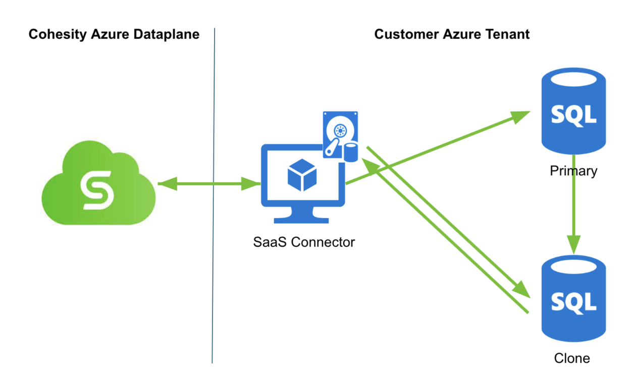 Database clones ensure a consistent recovery Image