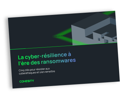 Cyber resilience ebook thumbnail