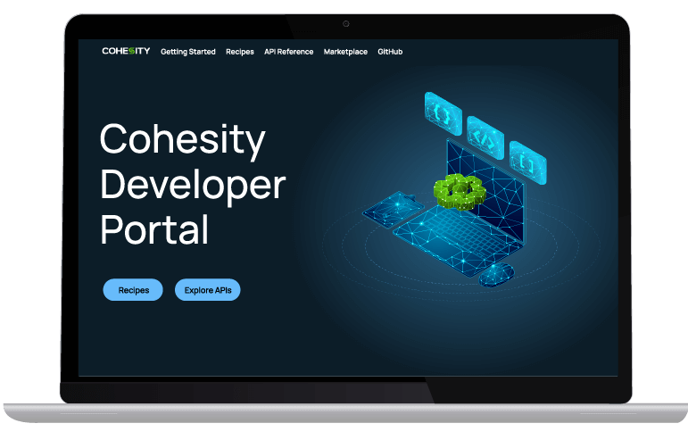 developer portal