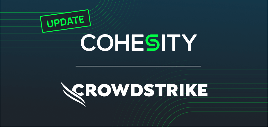 CrowdStrike blog hero - update