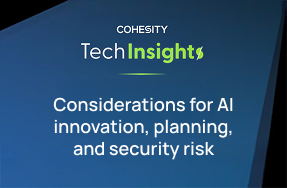 Considerations for AI innovation, planning, and security risk