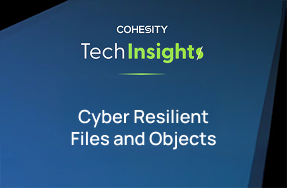 Cyber Resilient Files and Objects