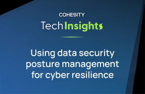 Using DSPM for cyber resilience
