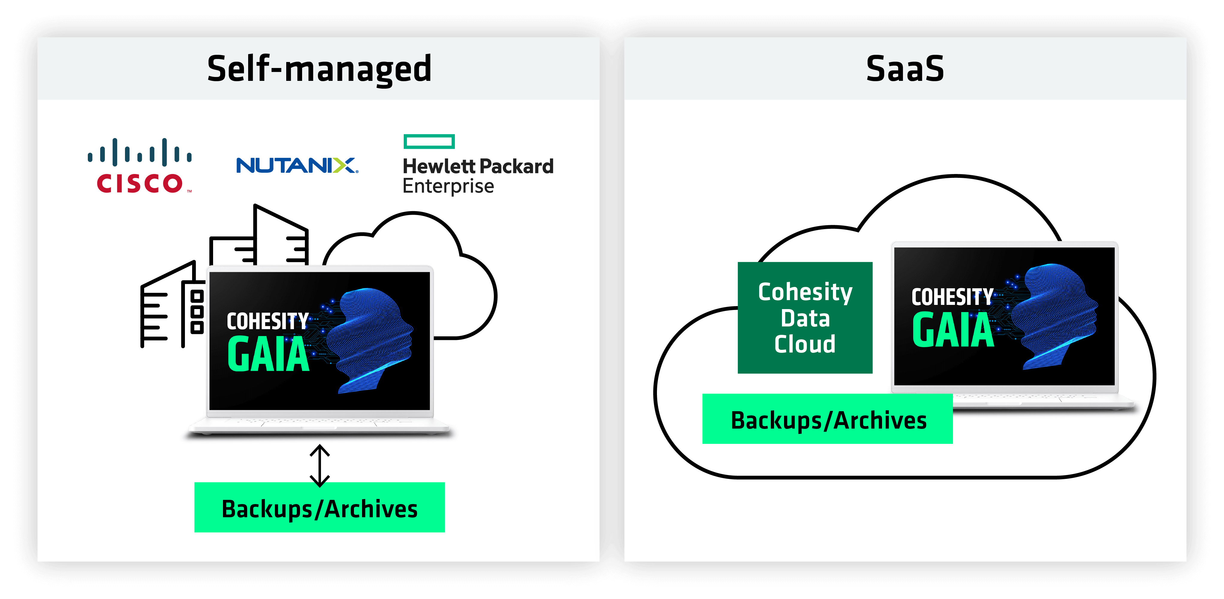 Cohesity Gaia deployment image