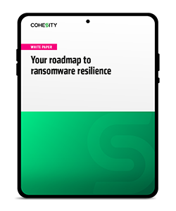 Roadmap to resilience white paper asset image